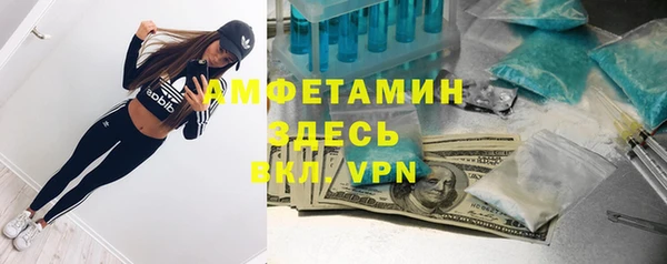 индика Алзамай