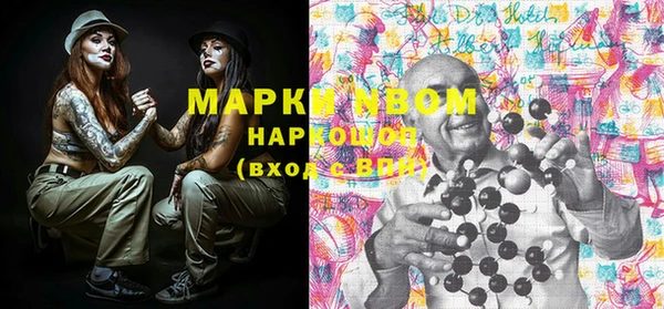 индика Алзамай