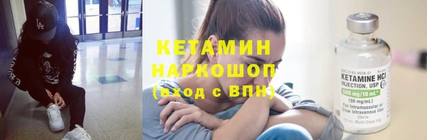 индика Алзамай