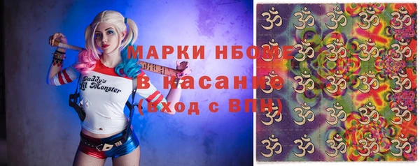 индика Алзамай