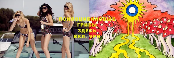 метамфетамин Алексин