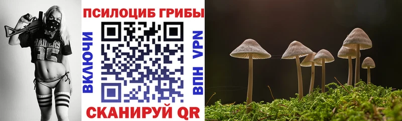 mega маркетплейс  Калач-на-Дону  Галлюциногенные грибы Psilocybine cubensis 